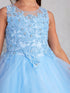 Girls Multi Color Illusion Neckline Lace Applique Trim Pageant Dress 2-12 - SophiasStyle.com